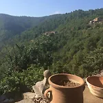 Petite Terrasse En Cevennes * Peyremale