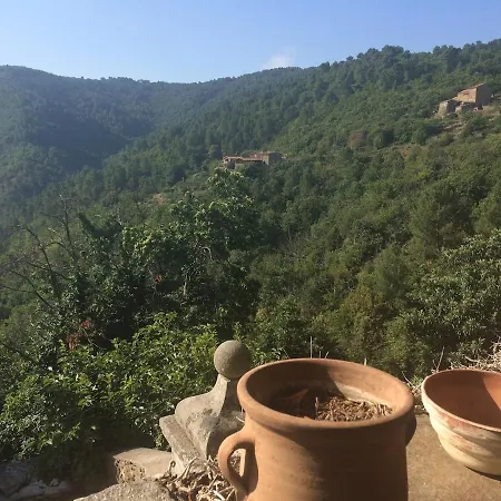 Petite Terrasse En Cevennes * Peyremale