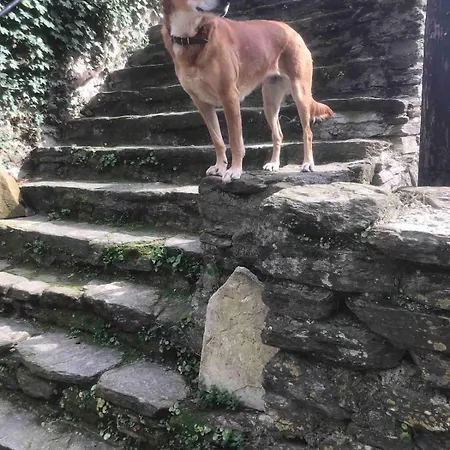 Appartamento Petite Terrasse En Cévennes