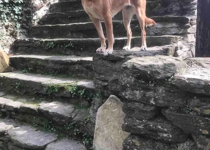 Διαμέρισμα Petite Terrasse En Cevennes
